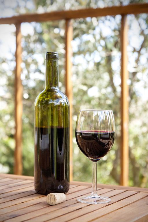Agriturismo Podere Camollia Costalpino Ngoại thất bức ảnh